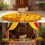 MANTRA DIVIT Andhra Gomatha Cow With Calf Vastu Statue (24k Gold Plated Special Finish) | Pure brass Made Gomatha Idol, Gomatha Statue For Home Decoration, Pooja Room, Gifting (11.6” Height)