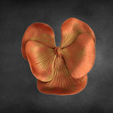 Fancy Flower Wall Hanging 5.6" - mantra gold coatings