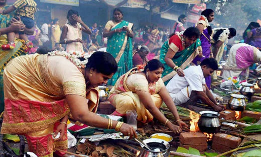 Celebrating Pongal In Tamil Nadu - mantra gold coatings 