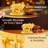 MANTRA DIVIT Brass Made Gomatha Idol | Cow With Calf Vastu Statue (24K Gold Plated) (2.8” Height)