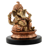 Pagadi Ganesha 8"